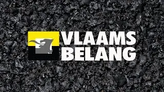 Flemish Interest | Voting advice