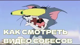 Как правильно смотреть видео собеседований