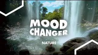 Mood Changer #7: Nature | Jamendo Licensing