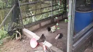 Alhamdulillah tinggal penataan