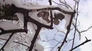Decker - To, co najpiękniejsze.wmv muzyka ilustracyjna, filmowa