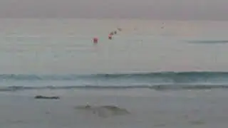 MVI 1248 море у фундука бич шарджа отель