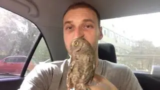 Ку-ку, епта! :-)
