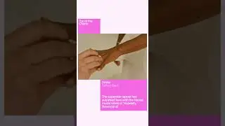 Drake introduces his house music era with "Falling Back"