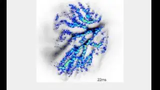 Calcium Response on a Purkinje Neuron | Cairn Research Ltd