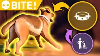 A True Friend Dog Can Be a Damage Monster In LDOE!