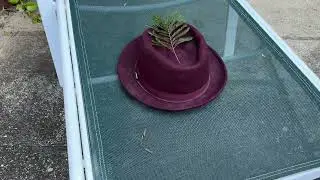 Choro Bandido (Edu Lobo)