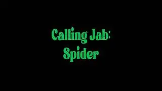 Calling Jab  Spider