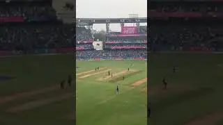 Virat Kohli 50th century celebration #trendingshorts #ytshorts #trending #viratkohli