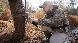 Checking New Swamp Trail Cameras