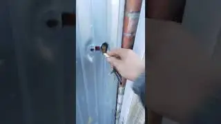 трактор гусеничный распродажа