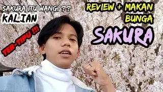 review + makan bunga sakura!! gila sih!! #redotkun #sakura #japan