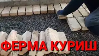 ФЕРМА КУРИШ УЙ ШАРОИТИДА.ВА ГИШ ТЕРИШ.