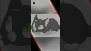 ❤Варежка🐱