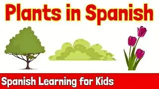 Plants in Spanish | Spanish Learning for Kids