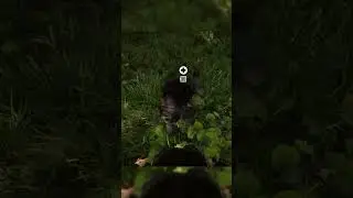 IT WAS AN ACCIDENT!!!!