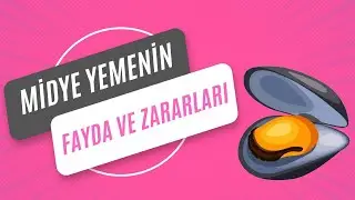 Midyenin Faydaları ve Zararları Nelerdir?