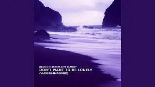 Don't Want To Be Lonely (VLCN Re-Imagined)