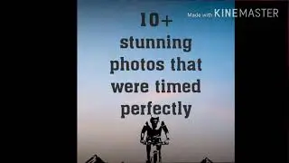 PHOTOS THAT WERE TIMED PERFECTLY- LATEST EDITION