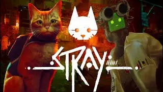 SAVING DOC FROM THE ZURKS!! | Stray