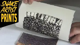 COLLAGRAPH SNAKE SKIN