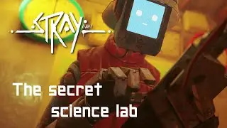 Finding a secret science lab in Stray