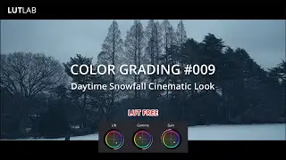 COLOR GRADING 009 - Daytime Snowfall Cinematic Look | LUT Free