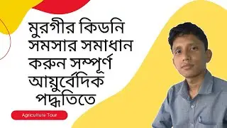 কিভাবে প্রাকৃতিক উপায়ে কিডনি মর্টালিটির চিকিৎসা করবেন | Agriculture Tour