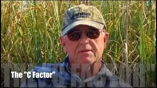 What's The C Factor?