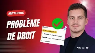 Problème de droit : comment le formuler efficacement? (Méthodologie)