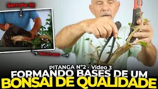 PODA DE FORMAÇÃO EM BONSAI DE PITANGA | Pitanga Nº2 - Vídeo 3