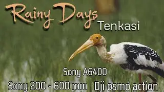 'Welcome to Rainy Tenkasi': Unbelievable Scene Awaits!