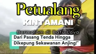 Petualang Kintamani (Bermalam Dibatu Lava) Dari Pasang Tenda Hingga Dikepung Sekawan Anjing