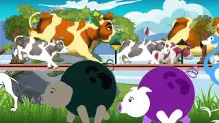 Running from a STAMPEDE Which Animal Will Win?