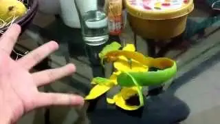 Magic Manggo