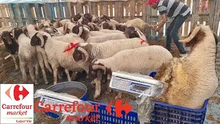 وأخيرا أثمنة حولي في كارفور carrefour حولي إسبانيا وبلغاريا وصردي وبركي 2024/05/31