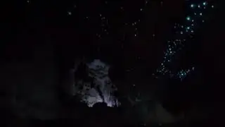 شاهد حشرات مضيئة وروعة خلق الله