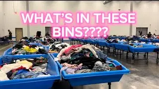 What Will I Find In The Goodwill Bins ?!