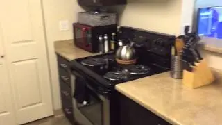 The Pad