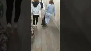 Ленивая собачка