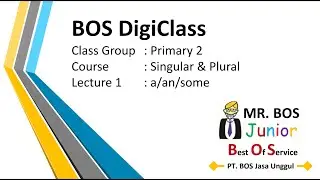 Primary 2 - Singular & Plural : a / an / some