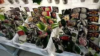 Выставка! Видео-анонс. Часть 2.