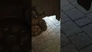 Снял колесо, проверь это.