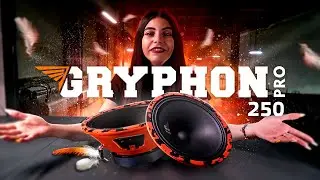 Обзор на эстрадные динамики DL Audio Gryphon Pro 250