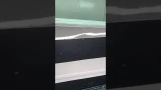 Прогресс 4 , окраска корпуса в два цвета.