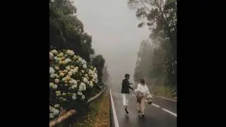 Lofi Bossa Nova Type Beat - I'm Yours