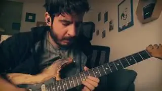 Pink floyd - Poles apart solo (cover)