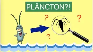 Achei o PLÂNCTON da VIDA REAL?! - Água do MAR no MICROSCÓPIO!