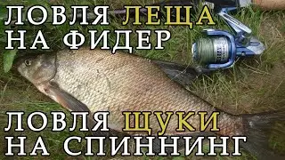 Рыбалка - ловля леща на фидер и щуки на спиннинг