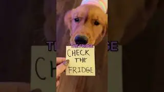 My puppy surprised me with this...
